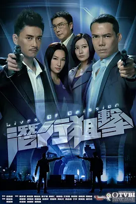 📺潜行狙击 (2011)8.5分/谢天华