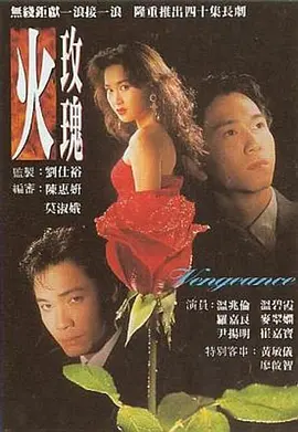 📺火玫瑰 (1992)温碧霞/8.1分