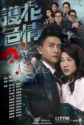 📺护花危情  (2012)黄宗泽/7.1分