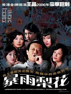 📺暴雨梨花 (2006)朱茵/7.3分