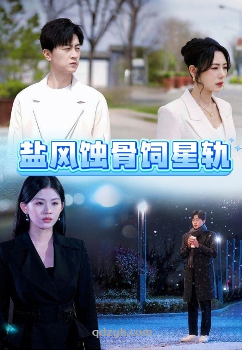 盐风蚀骨饲星轨，又名：海鸟跟鱼相爱（60集）王鹏/秦萍