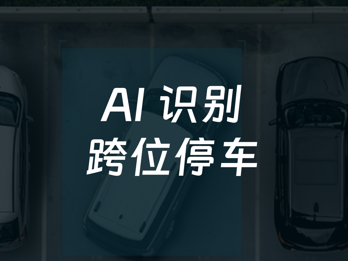 跨位停车识别